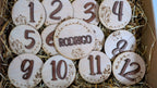 Placas Mensuales Bebé Personalizadas de Madera. Modelo primavera