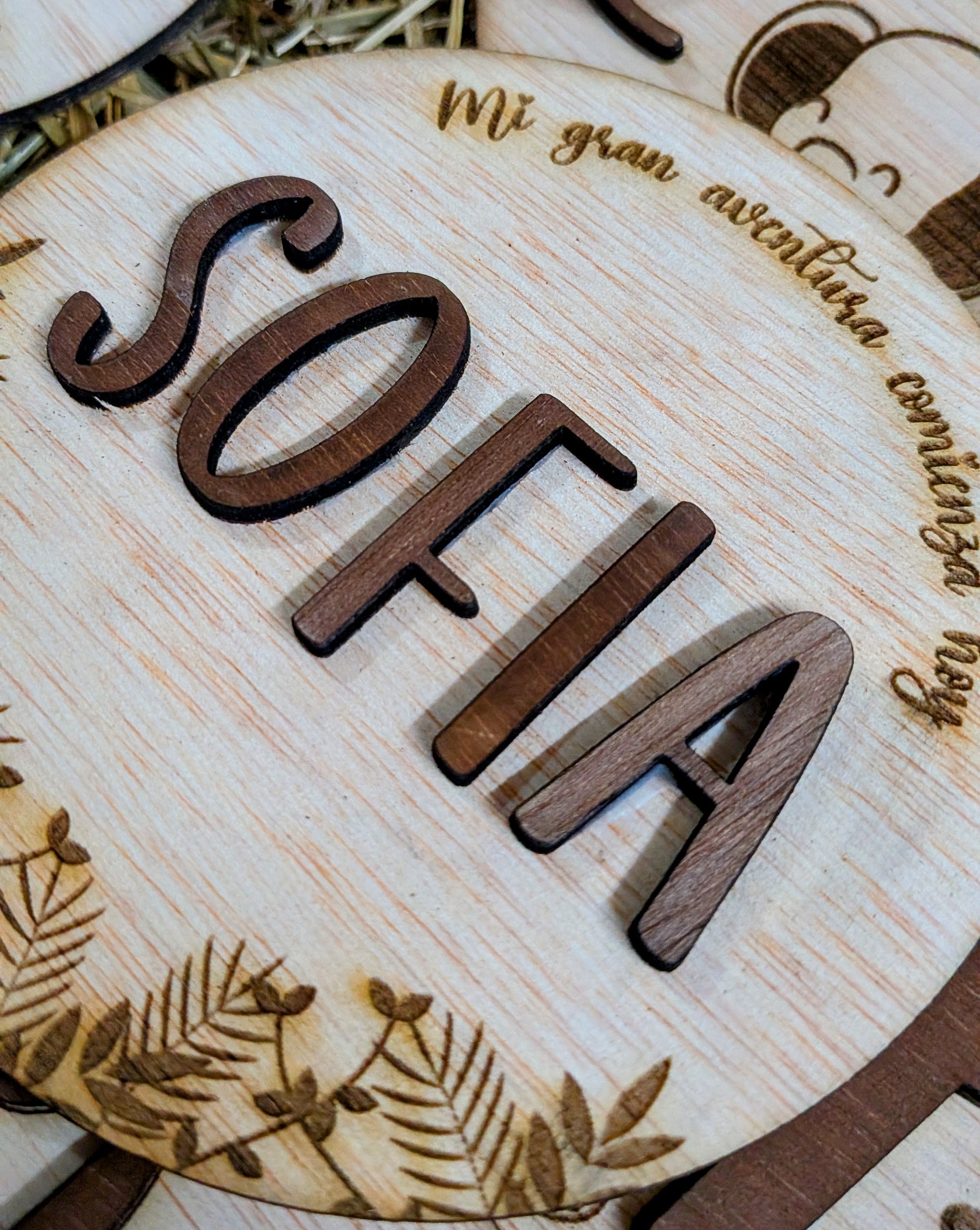 Placas Mensuales Bebé Personalizadas de Madera. Modelo globo. Modelo Safari