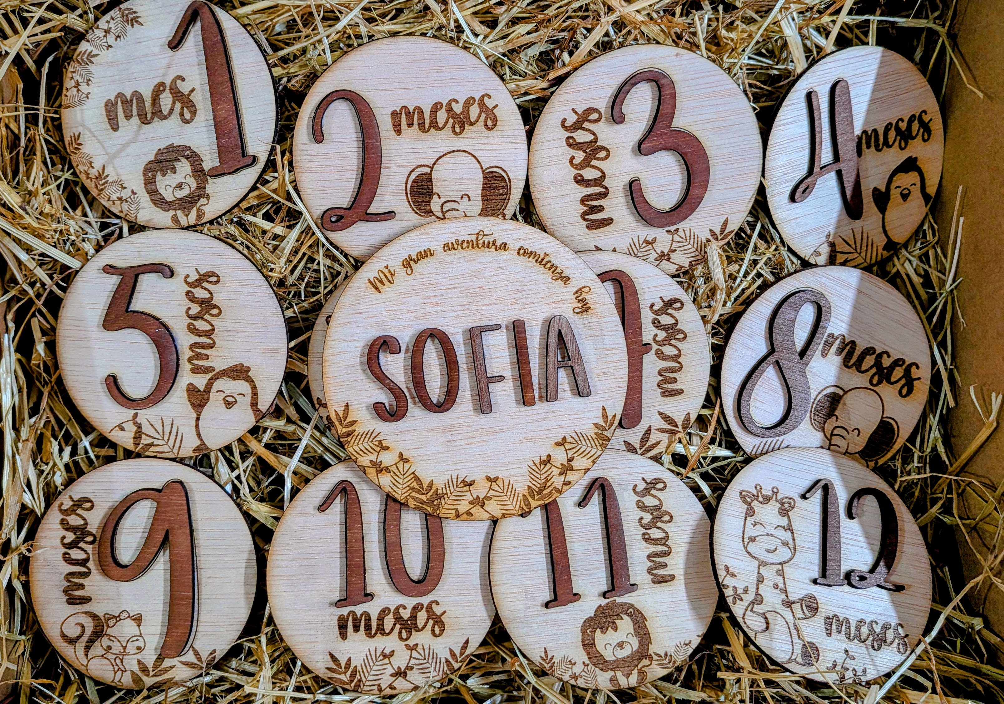Placas Mensuales Bebé Personalizadas de Madera. Modelo globo. Modelo Safari