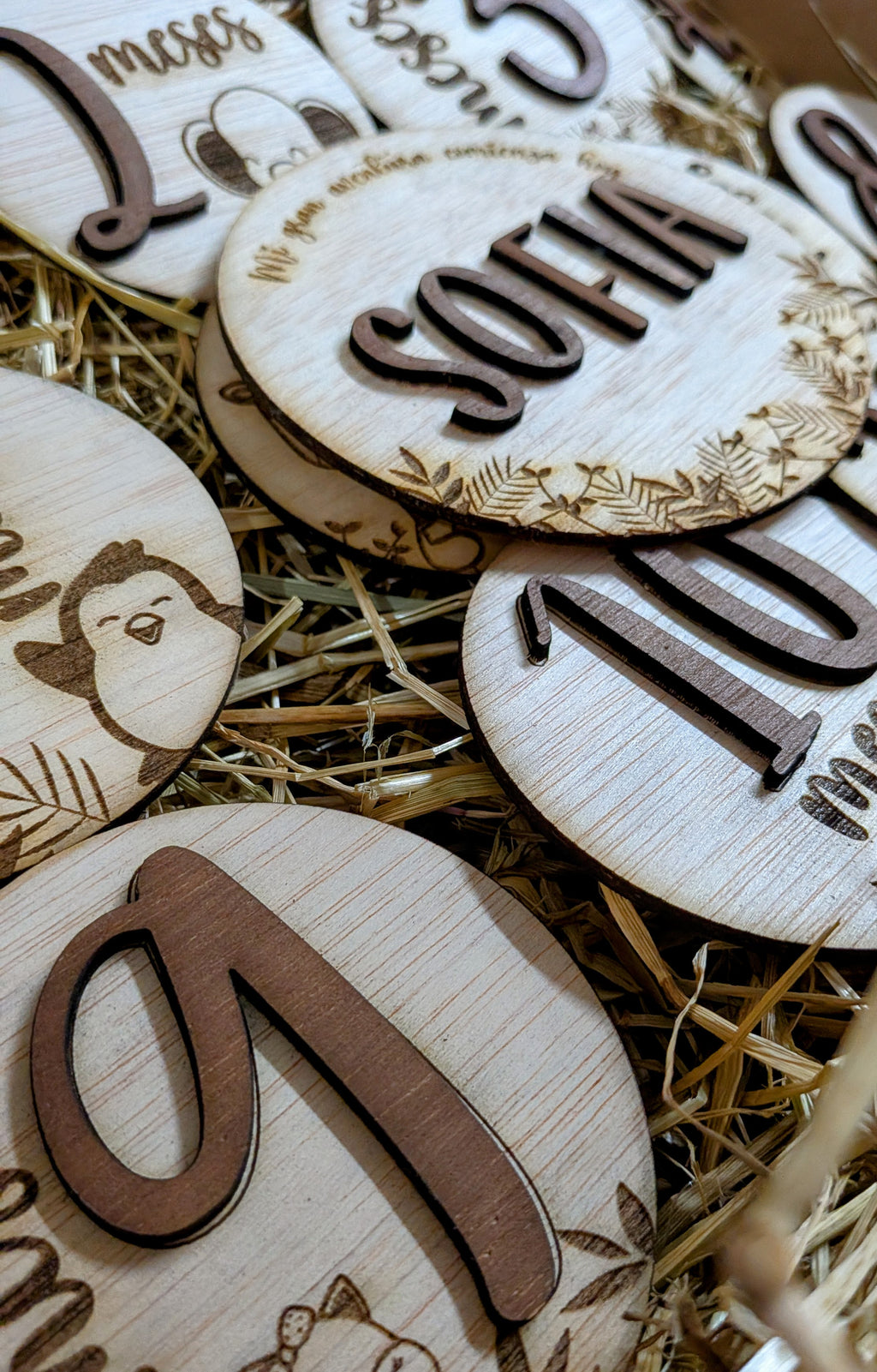 Placas Mensuales Bebé Personalizadas de Madera. Modelo globo. Modelo Safari